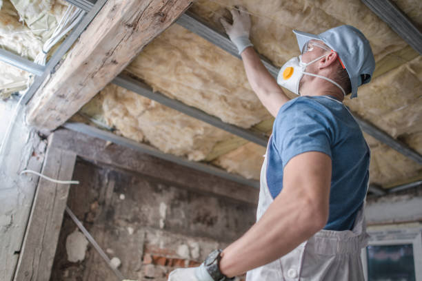 Best DIY Insulation Kits and Guidance in Dunlap, TN