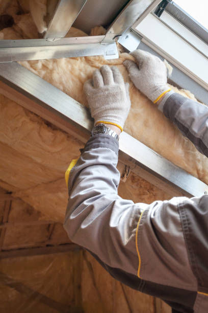 Best Geographic-Specific Insulation Services in Dunlap, TN